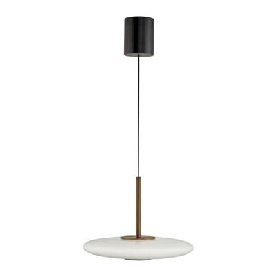Paul Neuhaus HanglampPure E-Vitrum design bruin - 2084-34
