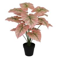 Caladium pink- 50 cm kunstplant Buitengewoon de Boet - Buitengewoon de boet - thumbnail