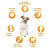 Iams for Vitality Senior Small & Medium met kip hondenvoer 12 kg - thumbnail
