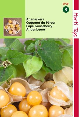 Zaden Ananaskers - Peruviana Hortitops - Hortitops
