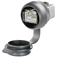 Weidmüller IE-FCM-RJ45-C-X-100 RJ-45-stekker 2742310000 Stekker Zwart 100 stuk(s) - thumbnail