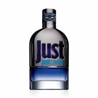 Herenparfum Just Cavalli Roberto Cavalli EDT 90 ml - thumbnail
