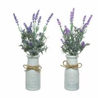 Decoratieve plant Everlands Bloempot Lavendel (Ø 13 x 32 cm) - thumbnail