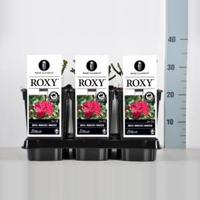 Miniatuurroos (rosa "Roxy"®) - thumbnail