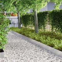 Tuin Grasperkafwerking Zilver 450 x 20 cm Roestvrij staal - thumbnail