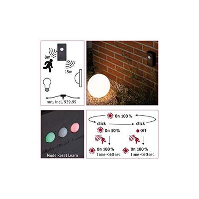 Paulmann wireless twilight sensor Zigbee 18012 Verlichtingssysteem Plug&Shine ZigBee LED Antraciet Paulmann wireless twilight sensor Zigbee 18012 Verlichtingssysteem Plug&Shine ZigBee LED Antraciet