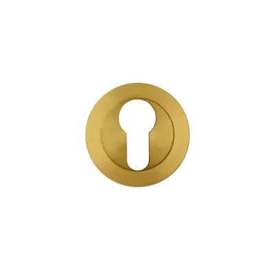 HDD Pro Cylinderplaatje Rond Draairozas Mat Messing Gepolijst HDD Pro Cylinderplaatje Rond Draairozas Mat Messing Gepolijst