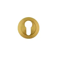 HDD Pro Cylinderplaatje Rond Draairozas Mat Messing Gepolijst - thumbnail