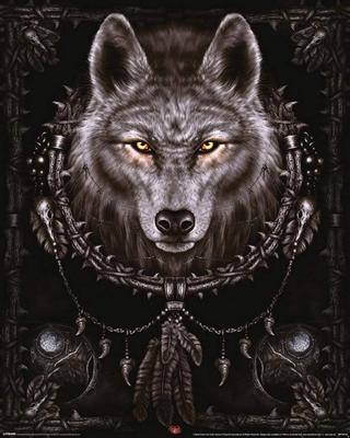Poster Spiral Wolf Dreams 40x50cm