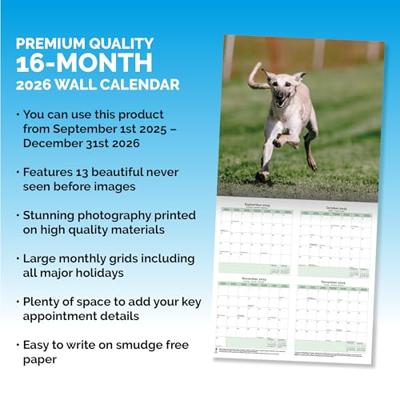 Whippet Kalender 2026