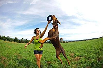 CHUCKIT ZIPFLIGHT - thumbnail