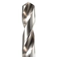 Makita Accessoires Metaalboor 15,0x169mm - D-74902 D-74902 - thumbnail