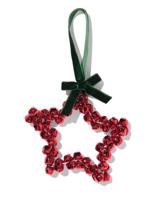 HEMA Ster Belletjes 11.5x11.5cm Ijzer Rood - thumbnail