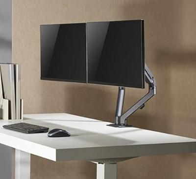 Ranqer Monitor Arm Pro Dual space gray