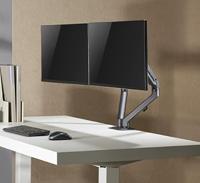 Ranqer Monitor Arm Pro Dual space gray - thumbnail