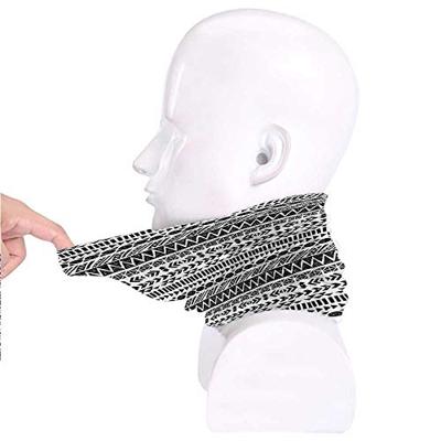 Druivenboom - Op oude stam Druivenboom - Op oude stam