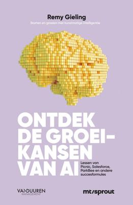 Ontdek de groeikansen van AI - Remy Gieling - ebook