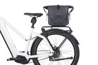 Basil Dragertas navigator storm mik - thumbnail