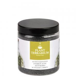 Bottle gardens actieve klstf l7b7h8 Esschert Design - Esschert design Bottle gardens actieve klstf l7b7h8 Esschert Design - Esschert design