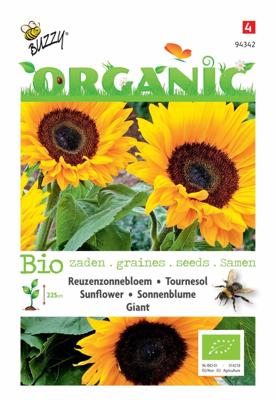 Zaden Organic Helianthus Reuzenzonnebloem giganteus (BIO) Buzzy - Buzzy