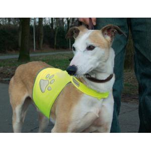 Safety Gear Veiligheidsvest Reflecterend Geel M