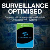 Seagate SkyHawk AI, 10 TB harde schijf - thumbnail