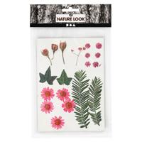 Creativ Company Gedroogde bloemen en bladeren lichtrood, 19dlg. - thumbnail