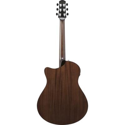 Ibanez AAM700CE Platinum Collection Natural High Gloss elektrisch-akoestische westerngitaar met hardshell case - thumbnail