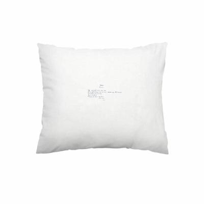 Kussensloop Plint 'Je Bent Zo' Hans Andreus - Overig (9789059303652)