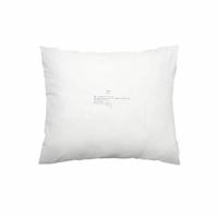 Kussensloop Plint 'Je Bent Zo' Hans Andreus - Overig (9789059303652) - thumbnail