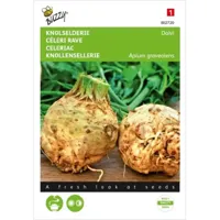 Knolselderij Dolvi - thumbnail