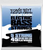 Ernie Ball 2810 Flatwound Bass 5 String 45 - 130 snaren - thumbnail