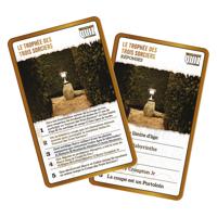 Harry Potter Quiz - Franse versie - thumbnail