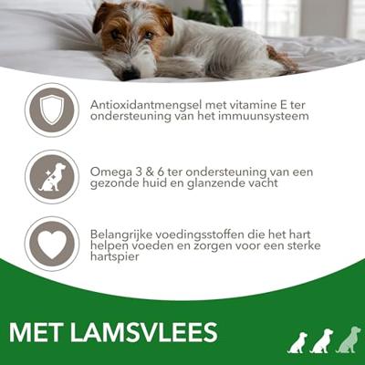 Iams for Vitality Adult Small & Medium met lam hondenvoer 2 x 12 kg