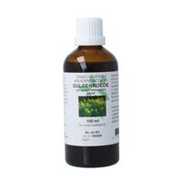 Solidago virg herb / guldenroede tinctuur 100 Milliliter - thumbnail