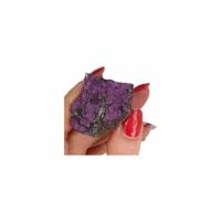 Ruwe Purpuriet (Model 3) - thumbnail