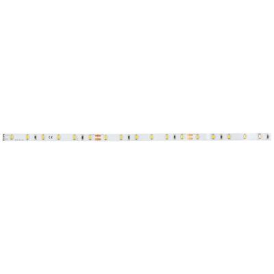 Brumberg 38201003 38201003 LED-strip Energielabel: E (A - G) 5 m Wit 1 stuk(s)