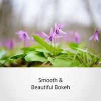 Sony FE 50mm F/1.4 ZA ZEISS Planar T* - thumbnail