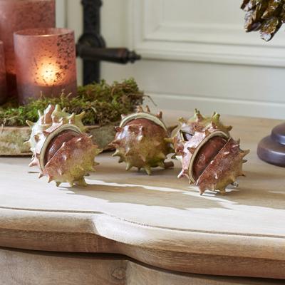 Decoratiekastanje set van 5 Léo Decoratiekastanje set van 5 Léo