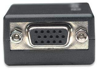 Techly 307582 Displayport Adapter Dp M naar VGA F, Zwart