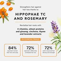 Apivita Hair Care Shampoo Men's Tonic Shampoo Hippophae TC & Rosemary 250ml - thumbnail