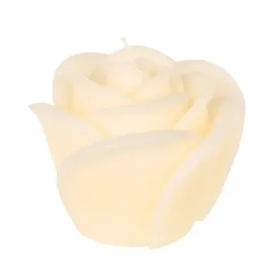 Out Of The Blue kaars roos crème 11 cm | 12 stuks