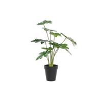 Decoratieve plant DKD Home Decor Groen PE (20 x 20 x 40 cm) - thumbnail