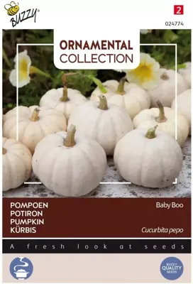 Zaden Ornamental Pompoen Baby Boo Buzzy - Buzzy Zaden Ornamental Pompoen Baby Boo Buzzy - Buzzy