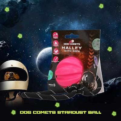 Dog Comets Halley Met Touw Roze