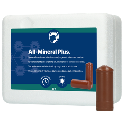 Excellent All-Mineral Plus 20 st