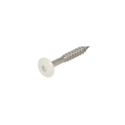 Hoenderdaal Hpl Schroef Rvs-A2 Torx TX20 Signaalwit Ral9003 4.8X38 | 100 stuks - 0346.30.37537