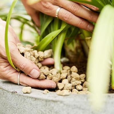 Compo bio granuplant 10 liter