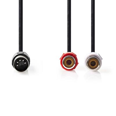 DIN-Audiokabel | DIN 5-Pins Male - 2x RCA Female | 0,2 m | Zwart