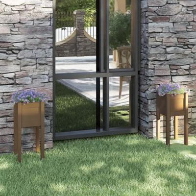VidaXL Plantenbakken 2 st 31x31x70 cm massief grenenhout honingbruin